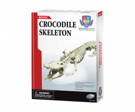 Образователни игри за сглобяване Eastcolight - Направи си сам: Скелет на крокодил 36002
