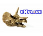 SES - Разкопки динозавър - 25022 Explore thumb 2