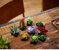 LEGO® Icons 10309 - Succulents thumb 17