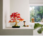 LEGO® Icons 10348 - Japanese Red Maple Bonsai Tree thumb 12
