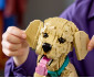 LEGO® Icons 11384 - Golden Reriever Puppy thumb 12