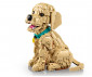 LEGO® Icons 11384 - Golden Reriever Puppy thumb 4
