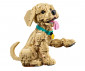 LEGO® Icons 11384 - Golden Reriever Puppy thumb 6