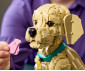 LEGO® Icons 11384 - Golden Reriever Puppy thumb 9