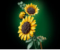 LEGO® Iconic 11502 - Sunflower Bouquet thumb 15