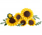 LEGO® Iconic 11502 - Sunflower Bouquet thumb 3