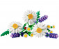 LEGO® Icons 11508 - Botanicals Daisies thumb 3