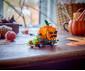 LEGO® Iconic 40822 - Jack-O'-Lantern Pickup Truck thumb 5