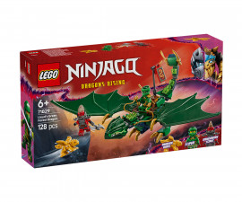 Конструктор ЛЕГО NINJAGO 71829