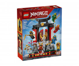 LEGO® NINJAGO 71866 - Ninja Character Display 15th Anniversary