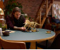 LEGO® Jurassic World 77985 - Dinosaur Fossils: Triceratops thumb 11