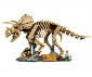 LEGO® Jurassic World 77985 - Dinosaur Fossils: Triceratops thumb 3