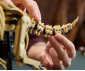 LEGO® Jurassic World 77985 - Dinosaur Fossils: Triceratops thumb 6