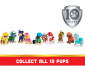 Играчка за деца от детския филм за Пес Патрул - Комплект фигурки Paw Patrol Celebration, 10 броя 6065255 thumb 3