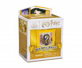 Spin Master 6071939 - Хари Потър - Кутия с фигурка изненада
