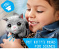 Just Play 28070 - Fur Real: Newborn Plush Kitty thumb 5