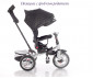 Детска триколка с родителски контрол и въртяща се седалка Lorelli Speedy, Black 10050432106 thumb 15