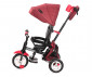 Детска триколка с родителски контрол и въртяща се седалка Lorelli Moovo, Red&Black Luxe 10050462103 thumb 3
