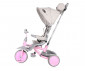 Детска триколка с родителски контрол и обръщаща се седалка Lorelli Lucky Crew, Grey&Pink 10050610022 thumb 4
