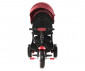 Детска триколка с родителски контрол и обръщаща се седалка Lorelli Jaguar, Red&Black Luxe 10050292103 thumb 3