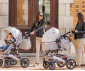 Трансформираща се детска количка до 15кг Lorelli Lora, Luxe Black 10021272186 thumb 10
