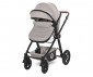 Детска комбинирана количка с трансформираща се седалка и столче за кола Lorelli Alexa Set, Opaline Grey Elephants 10021292185 thumb 5