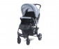 Комбинирана бебешка количка с обръщаща се седалка за деца до 22кг Lorelli Daisy Basic Set, Black Silver Blue 10021642124 thumb 2