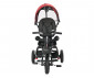 Детска триколка с родителски контрол и с въздушни гуми Lorelli Zippy, Ruby 10050560004 thumb 2
