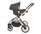 Комбинирана бебешка количка с обръщаща се седалка за деца до 15кг с включена чанта Lorelli Ramona, Luxe black 10021682186R thumb 10