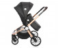 Комбинирана бебешка количка с обръщаща се седалка за деца до 15кг с включена чанта Lorelli Ramona, Luxe black 10021682186R thumb 7