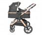 Комбинирана количка с обръщаща се седалка за новородени бебета и деца до 22кг Lorelli Viola, Black Diamonds 10021812304 thumb 3