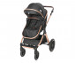 Комбинирана количка с обръщаща се седалка за новородени бебета и деца до 22кг Lorelli Viola, Black Diamonds 10021812304 thumb 5
