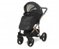 Сгъваема бебешка количка за новородени с тегло до 15 кг. с обръщаща се седалка Lorelli Rimini Premium, Black 10021622305 thumb 8