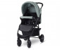 Сгъваема бебешка количка за за бебета от 6 месеца с тегло до 15кг Lorelli Olivia Basic с покривало, Green bay 10021862390 thumb 2
