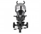 Триколка със сенник, с родителски контрол и обръщаща се седалка Lorelli Tino, Grey 10050682506 thumb 2