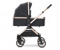 Комбинирана бебешка количка с обръщаща се седалка за деца до 22кг с включени адаптори за столче/кошница за кола Lorelli Reya 2в1, Black 10022072501 thumb 2