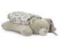 Бебешко одеяло Lorelli Puffy Duo, 90 x 75 см, бяло с възглавничка бежово мече 10340202504 thumb 2