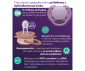 Ортодонтска залъгалка Philips-Avent Ultra Soft, 2 броя, със стерилизираща кутийка, пастелни, момиче, 6-18м 00A.0664.001 thumb 7
