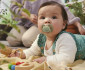 Ортодонтска залъгалка Philips-Avent Ultra Soft, 2 броя, със стерилизираща кутийка, птица/катерица, неутрални, 6-18м 00A.0666.001 thumb 12