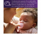 Ортодонтска залъгалка Philips-Avent Soothie, 2 броя, със стерилизираща кутийка, син, 0-6м 00A.0670.001 thumb 7