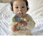 Играчка за бебета дрънкалка коала Playgro Fauna Friends, 0м+ PG.0353 thumb 5