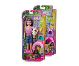 Кукла Barbie - На къмпинг: Комплект сестри и домашни любимци, асортимент HDF69