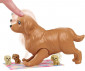 Кукла Barbie - Комплект с куче и новородени кученца HCK75 thumb 3