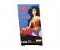 Игрален комплект за деца с кукла Barbie - DC: Жената Чудо JBJ36 thumb 2