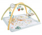 Постелка за активна гимнастика и игра за бебета и деца със сензорни занимания Fisher Price JMN74 thumb 2