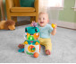 Бебешка интерактивна играчка жабка със светлина и звук Fisher Price JLB96 thumb 13