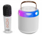 Bontempi 49 0210 - Mini Wireless speaker with Wireless microphone and light effects thumb 2