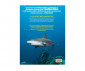 Детска образователна книга енциклопедия на издателство Егмонт - Невероятна книга за акулите 9789542728085 thumb 2