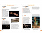 Образователни книги на издателство Егмонт - 6: Ерата на динозаврите: Триумф и гибел thumb 3