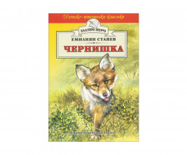 Романи за деца Издателства Издателство Хермес 101010031